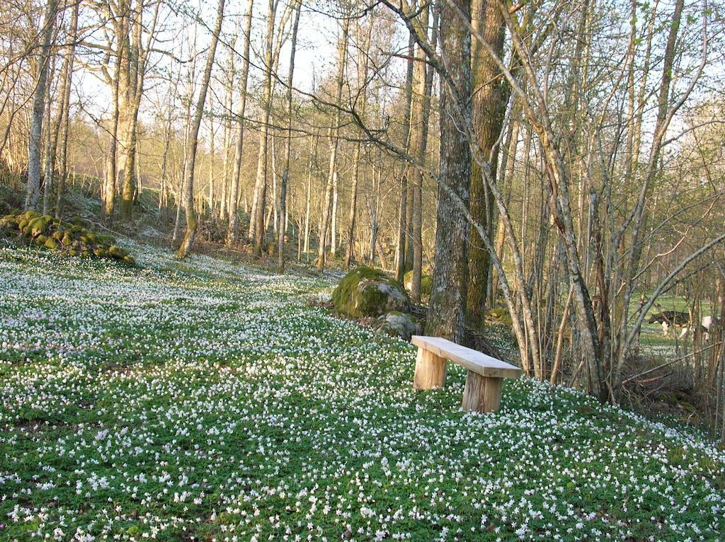 Wismens Natur & Fiske Krogsered Dış mekan fotoğraf