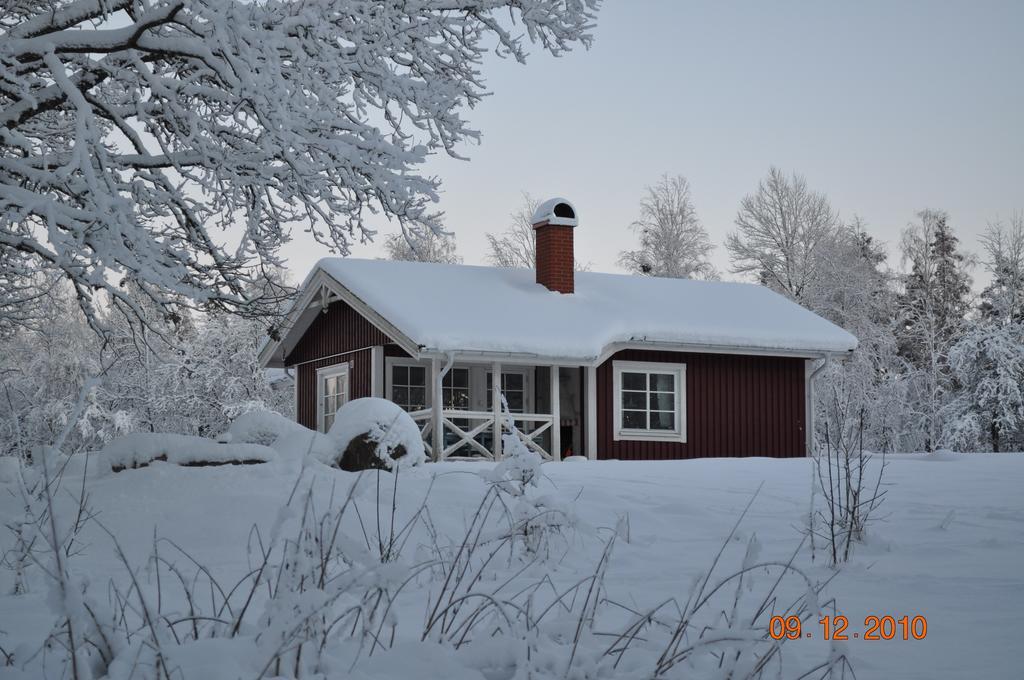 Wismens Natur & Fiske Krogsered Oda fotoğraf
