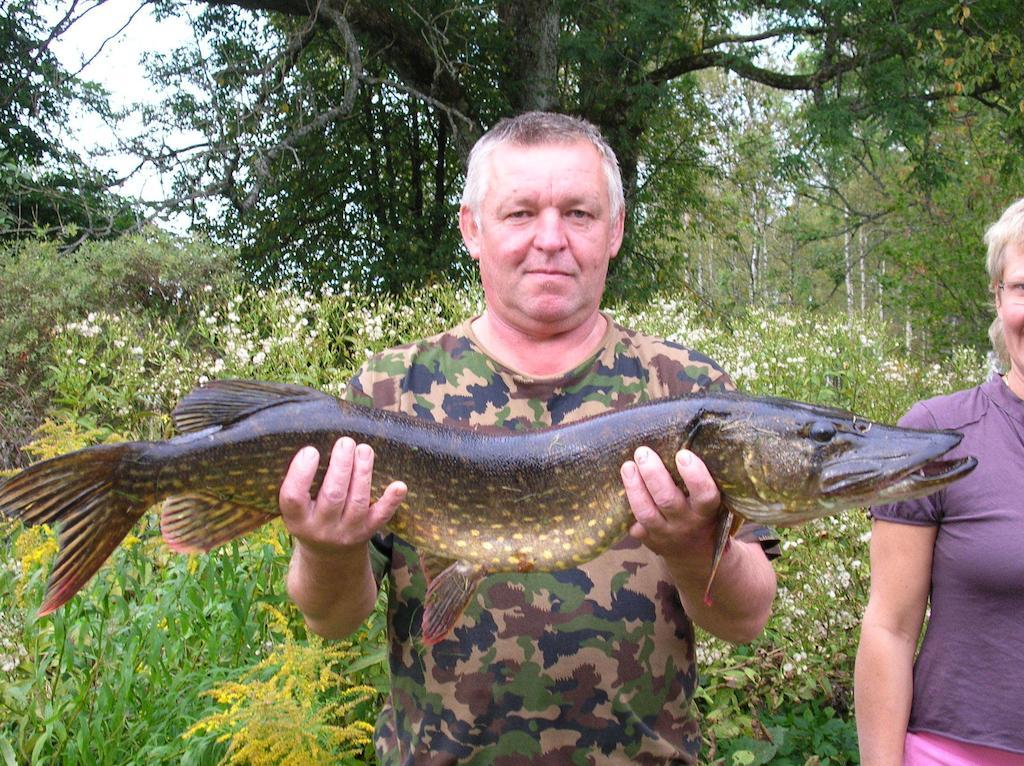 Wismens Natur & Fiske Krogsered Dış mekan fotoğraf